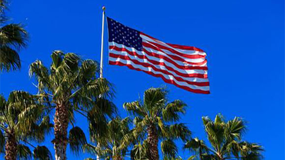 american flag flies above a group of palm trees