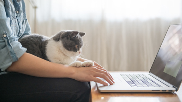 man sitting on sofa, working on a laptop that sits on a coffee table, with cat sitting in his lap