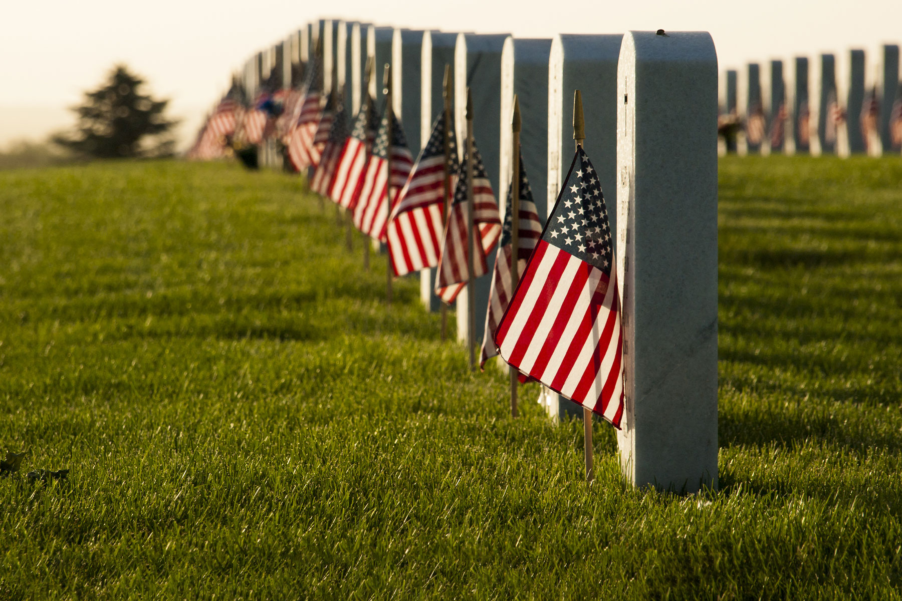 row of military gravestones with flags on each marker
