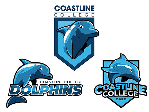 collage of variations of new Fin logos including a text graphic, shield logo, and esports logo