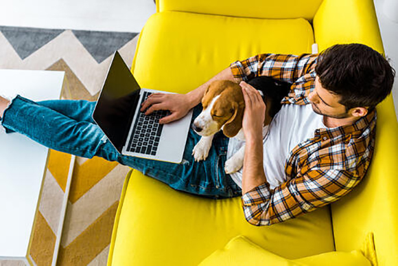 young man on couch, feet on table, dog and laptop both in his lap