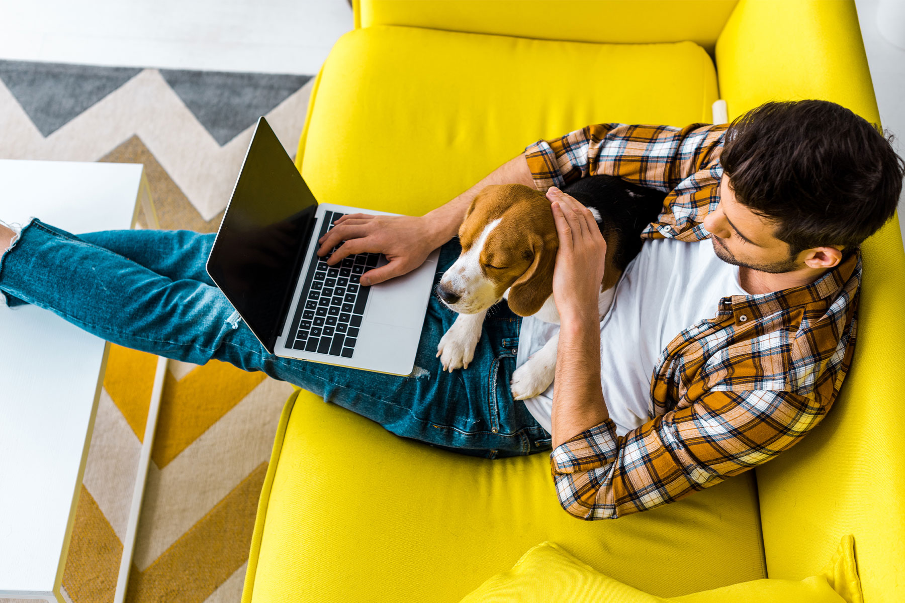 young man stretched out on sofa, feet on table, dog and laptop on his lap