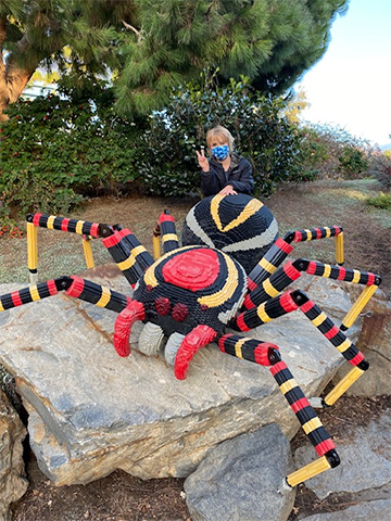 one of the Callum boys with a large spider figure at Legoland