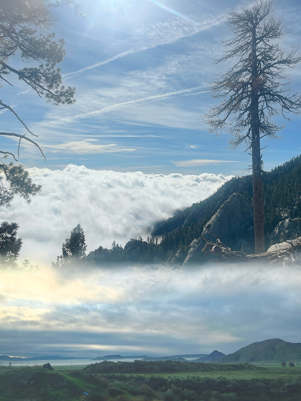double image of mountains, trees and clouds rolling in